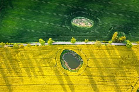 Vista De Arriba Hacia Abajo De Los Campos De Trigo Y Colza En El Campo