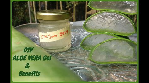 How To Cut And Make Aloe Vera Gel Within 5 Minutes At Homebenefits एलोवेरा जेल के फायदे Youtube