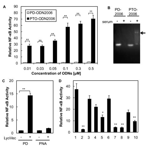 Effect Of Odn Backbones And Cpg Motif On Nf B Activation A