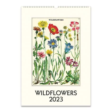 2023 Cavallini And Co Wildflower Wall Calendar Paper Source In 2022