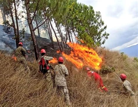 Cusco Brigadas Del Ejército Participan En Lucha Para Sofocar Incendio