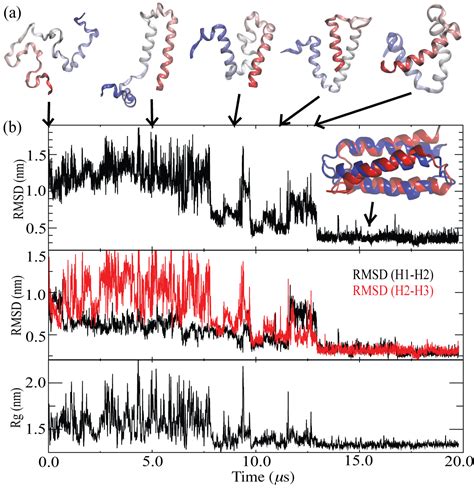 Modeling Biological Processes At Hybrid Resolutions