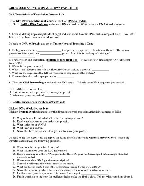 Dna Transcription And Translation Worksheets Answer Key