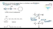 Observe as estruturas das aminas abaixo e as classifique como PRIMÁRIAS