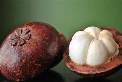 Purple Mangosteen | Fruit Maven