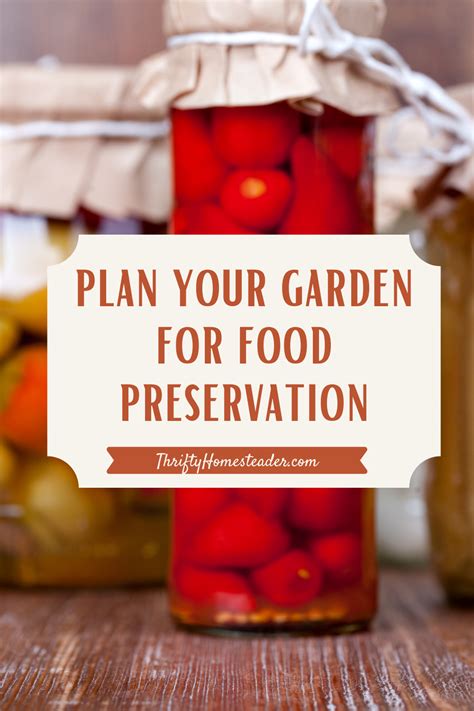 How To Preserve Food At Home Artofit