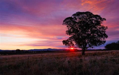 Southern Downs And Granite Belt Southern Queensland Country