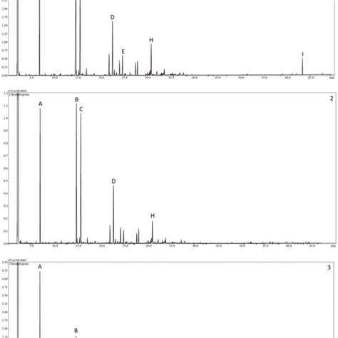 Gas Chromatography Flame Ionization Detector GC FID Chromatograms Of