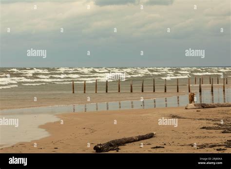 Wind Whipped Hi Res Stock Photography And Images Alamy