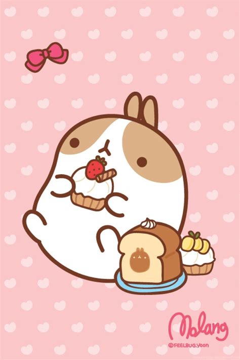 Cute Molang Wallpapers Wallpaper Cave