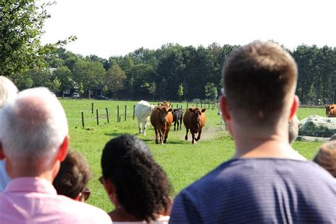 Bioboerderij T Schop Bezoek Hilvarenbeek