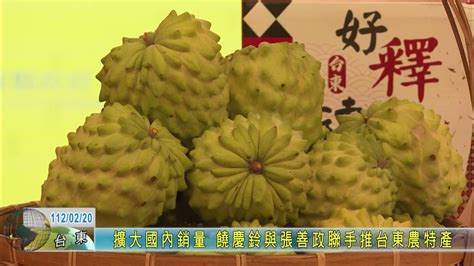 20230220 擴大國內銷量 饒慶鈴與張善政聯手推台東農特產 Youtube