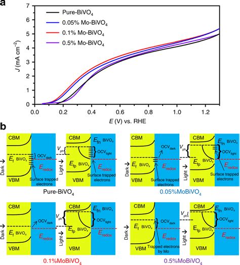 Photoelectrochemical And Photo Voltage Characterization Of The