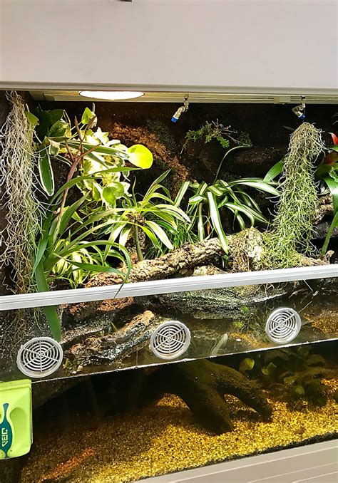 Aquaterrarium Paludarium F R Krokodilschwanzechsen Hoppe Terrarienbau