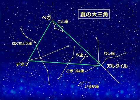 夏休みは星座鑑賞のベストシーズン！夏の星座や流星群の見つけ方も｜shufooプラス