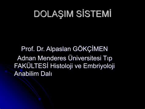 PPT DOLAŞIM SİSTEMİ PowerPoint Presentation free download ID 3418406