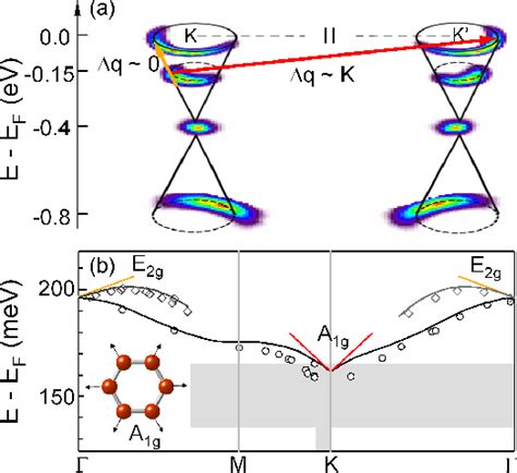 Figure From Kohn Anomaly And Interplay Of Electron Electron And