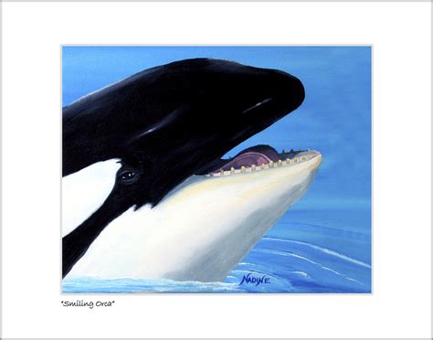 "Smiling Orca" | Lobster Trap Art