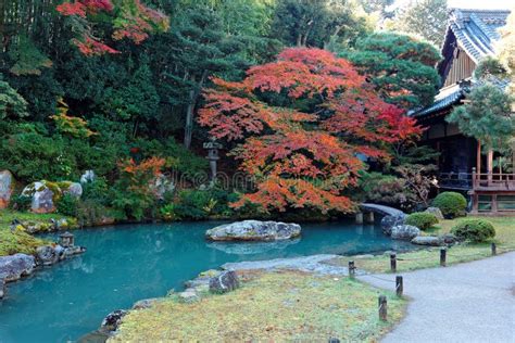 Paisaje De Un Jard N Japon S Adentro Shoren En Un Templo Budista