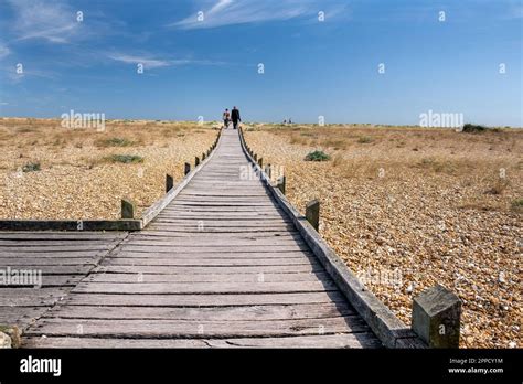 DUNGENESS ENGLAND JULY 16th 2022 Walking On Dungeness Shingle