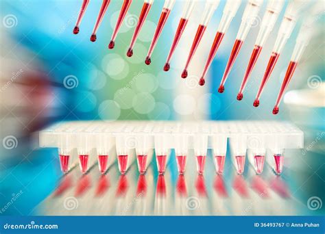 Multichannel pipette stock image. Image of reflections - 36493767