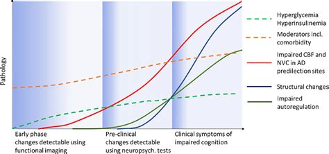 Figure 1 From Neurovascular Coupling In Type 2 Diabetes With Cognitive