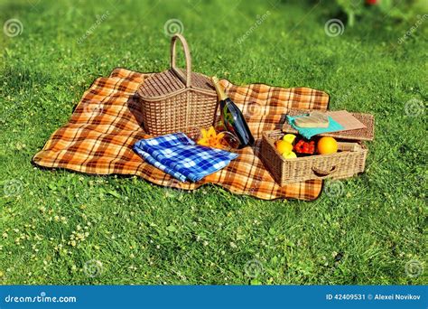 Summer Vacation Picnic Scene Stock Image - Image of party, outdoors: 42409531