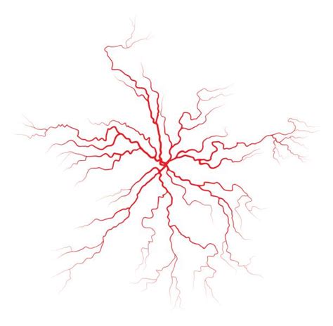 Vulvar Varicosities Treatment Madison & Jackson MS | Vulvar Veins Treatment Clinic