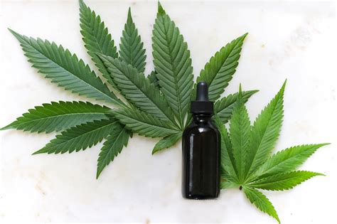 Cum S Alege I Corect Uleiul Cbd Expert Medical