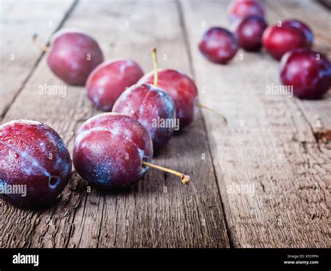 Reife Pflaume Fotos Und Bildmaterial In Hoher Aufl Sung Alamy