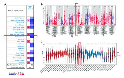 Pan Cancer Expression Analysis Of Fras1 Mrna In Human Tumors Vs Normal