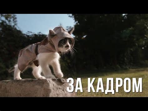 [За Кадром] Котята Ассасины - YouTube