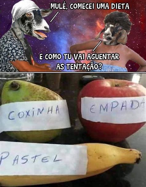 Plano De Aula 8º Ano Meme O Humor Crítico E Multissemioses