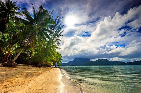 Nature Landscape Beach Sea Palm Trees Clouds Island Sunlight