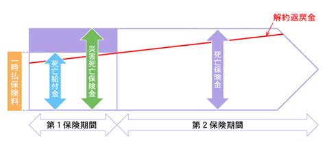 保険料の一括払【保険市場】