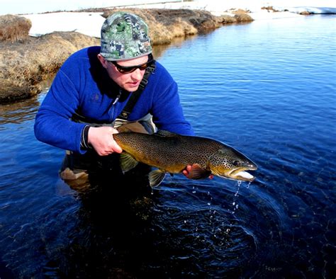 River Litlaá, Trout fishing in Iceland