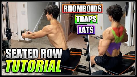 Seated Row Exercise Muscles Worked | Elcho Table