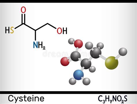 L Cisteina Della Cisteina Cys Molecola Proteinogenic Dell Aminoacido