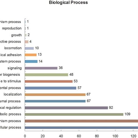 Gene Ontology GO Biological Process Analysis Of The Differentially