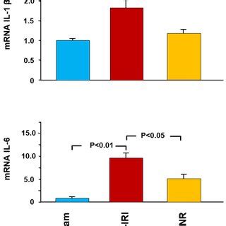 Gene Expression Of The Proinflammatory Cytokines Interleukin Il