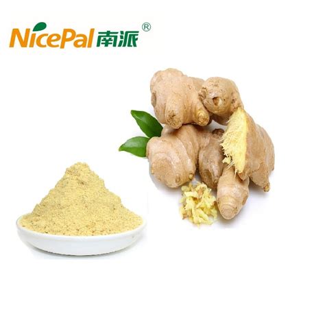 Halalkosher Certified Food Grade Pure Natural Dried Ginger Powder China Natural Ginger Powder