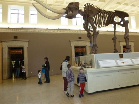 Oh Boy!: Buffalo Museum of Science