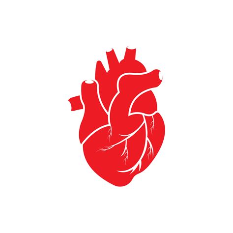 Corazón Humano Logo Cardiología Médica Vector Icono Ilustración