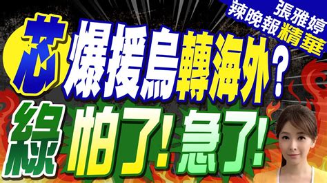 打臉外交部援烏 公開透明 徐巧芯曝光密件 徐巧芯爆援烏計畫 疑金主經手 外交部怒斥 【張雅婷辣晚報】精華版 中天新聞ctinews Youtube