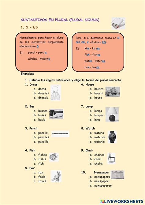 Sustantivos En Singular Y Plural Live Worksheets