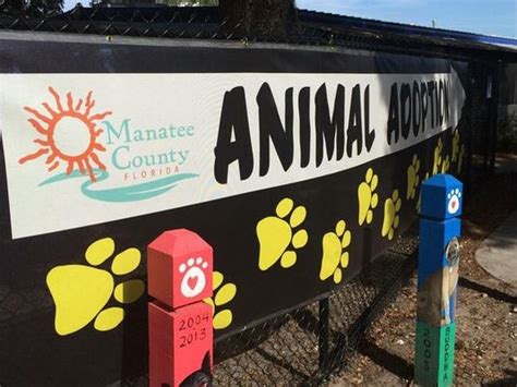 New Manatee Animal Services leader faces criticism | wtsp.com