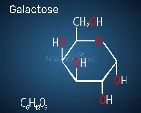 Galactose D Galactose Milk Sugar Molecule Linear Form Stock Vector Illustration Of