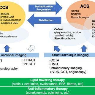 Role Of Imaging In The Management Of Patients With Coronary Artery