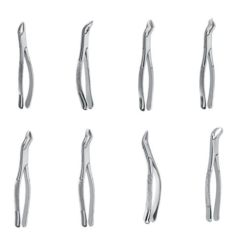 Extraction Forceps Buy Extraction Forceps Online At Best Price