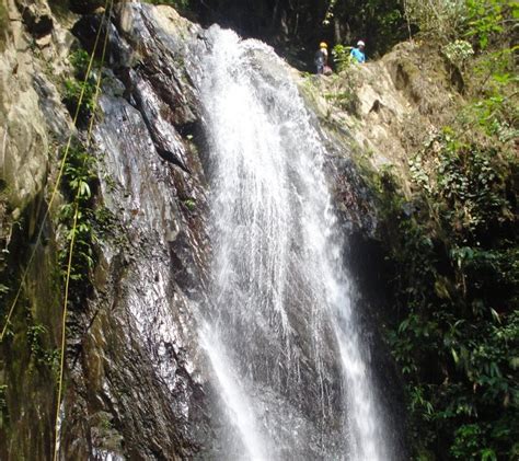 Cerro El Aguacate Bosque Y Cascada En Carabobo Venezuela Cerro El